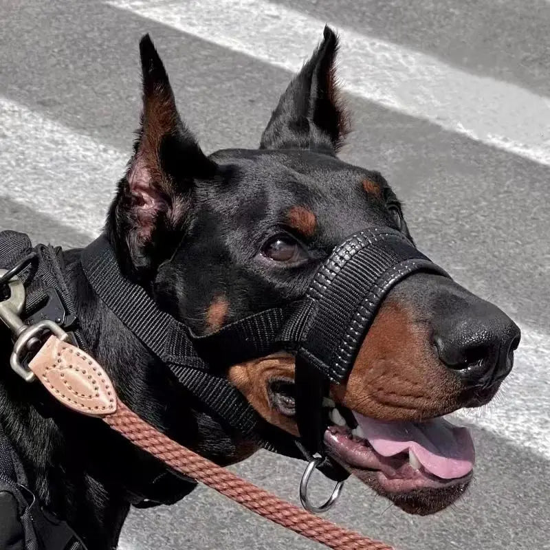 Bite-Proof Dog Mask
