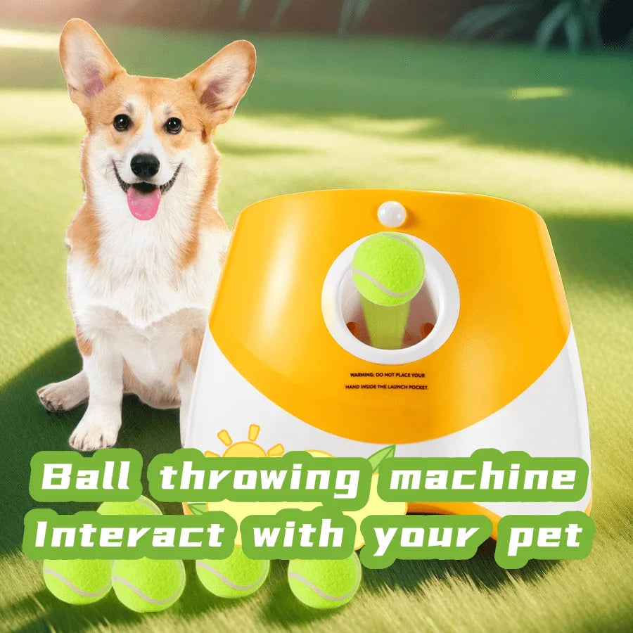 Automatic Dog Tennis Throwing Machine