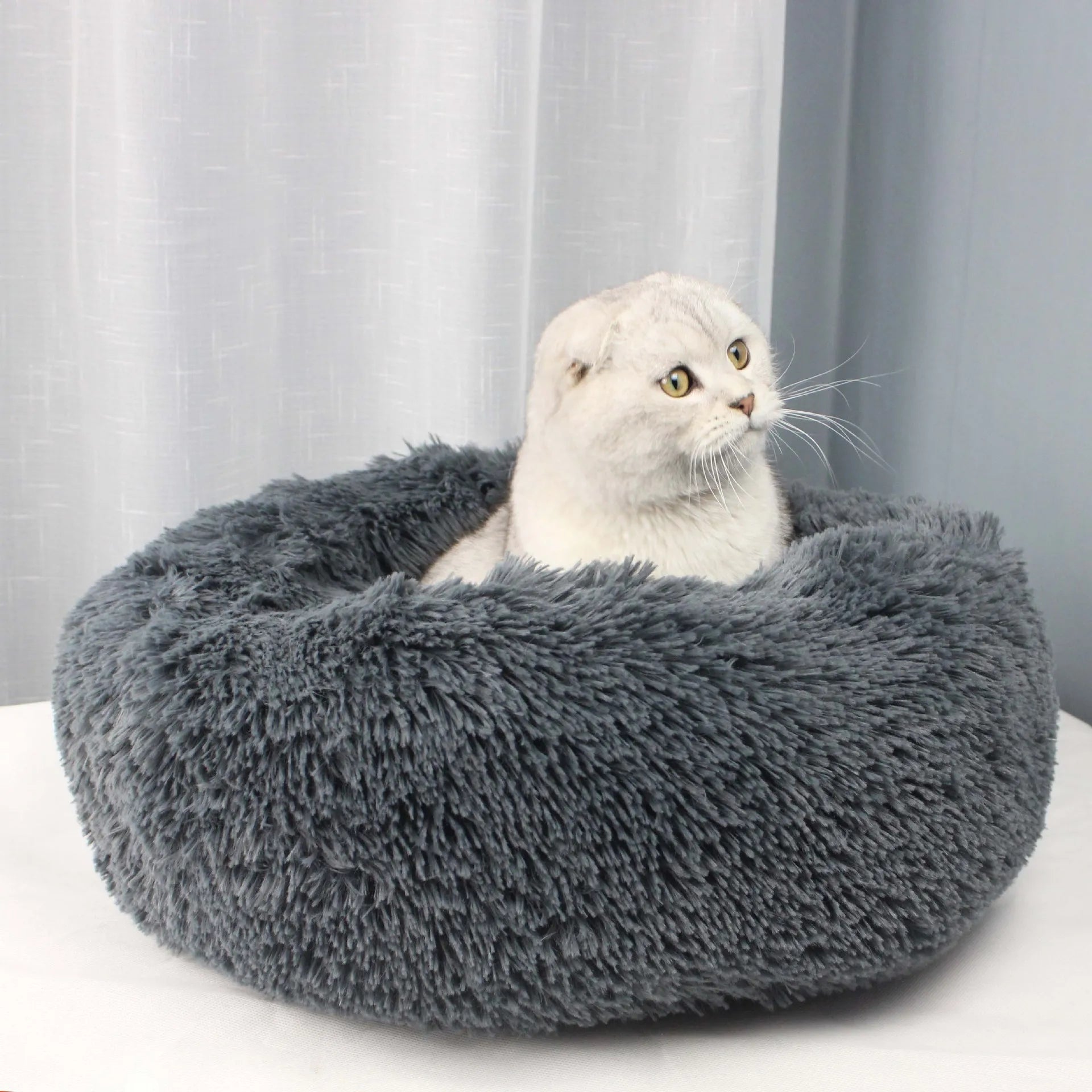 Super Soft Long Plush Dog Bed