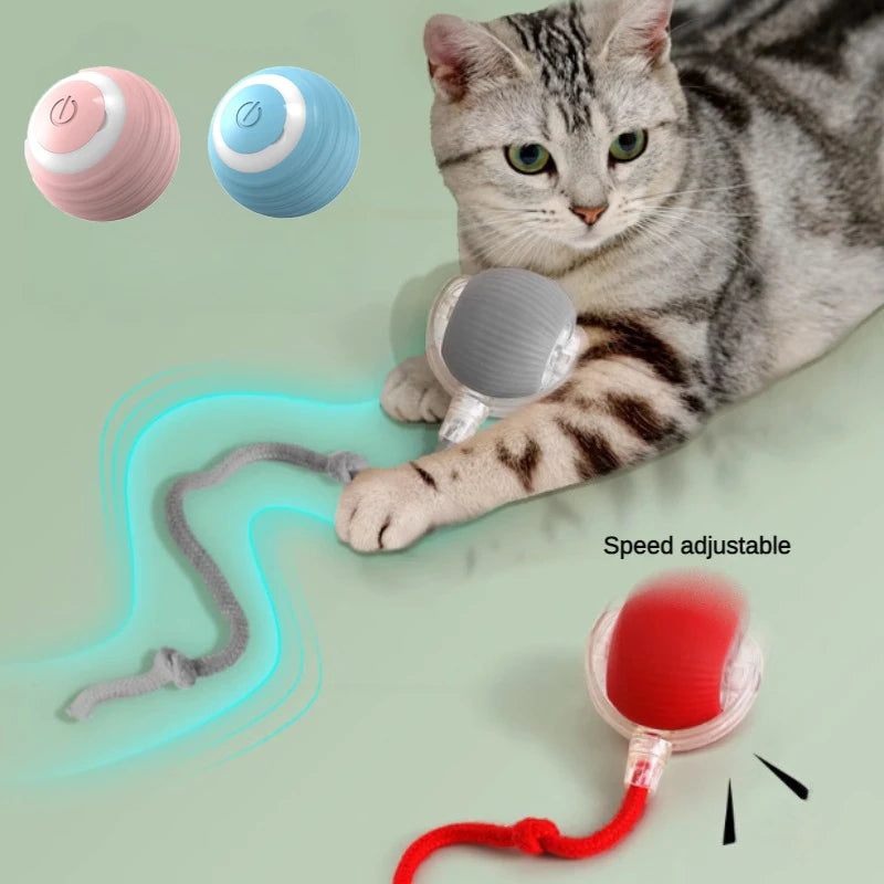 Pet Interactive Automatic Rolling Ball Toy