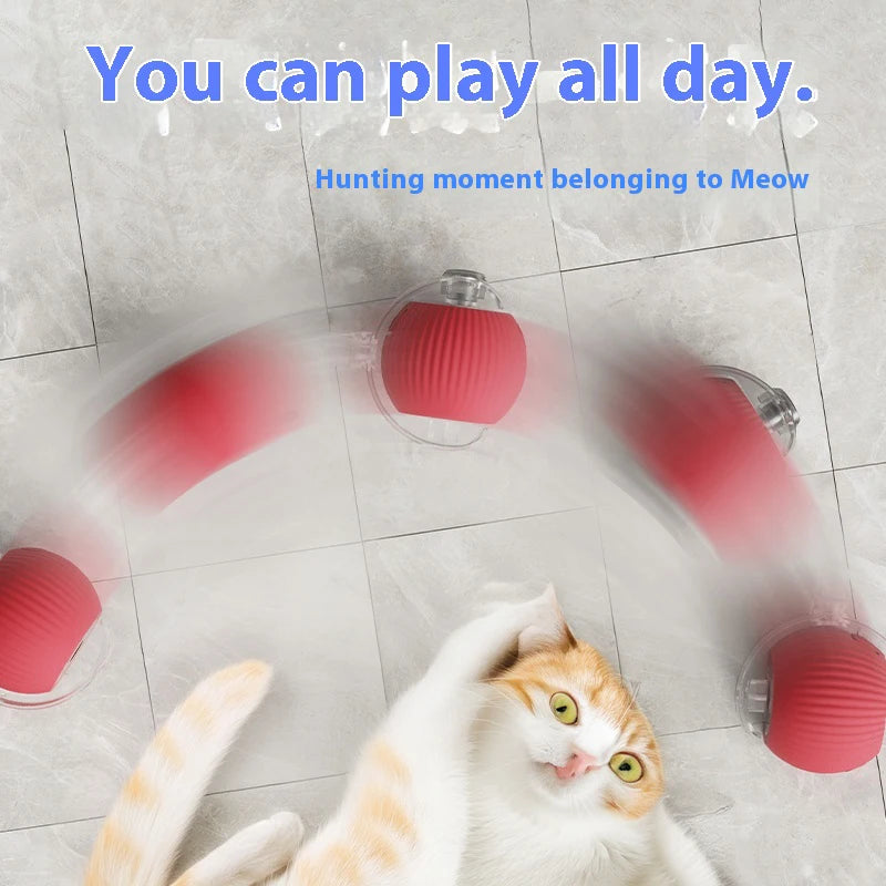 Pet Interactive Automatic Rolling Ball Toy
