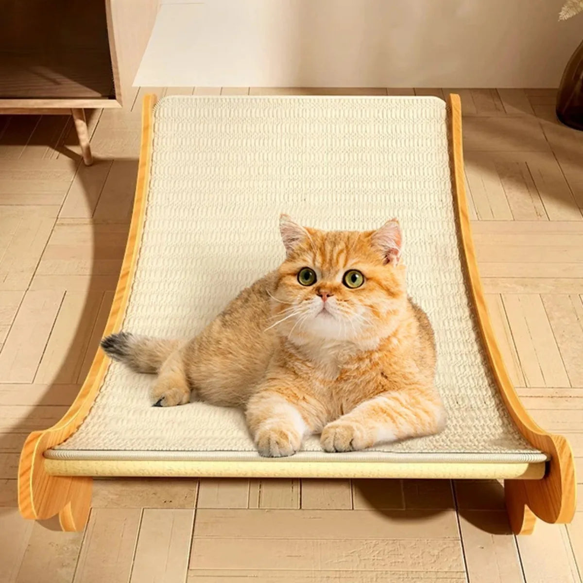 Wooden Cat Scratching Pad + Bed