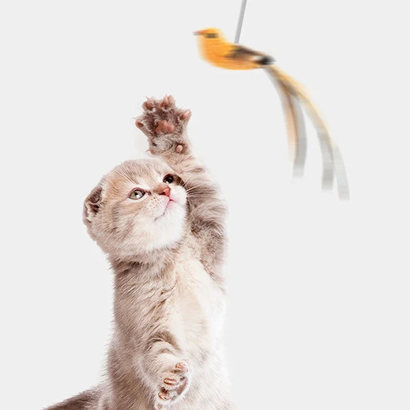 Bite-Resistant Suction Cat Teaser Wand