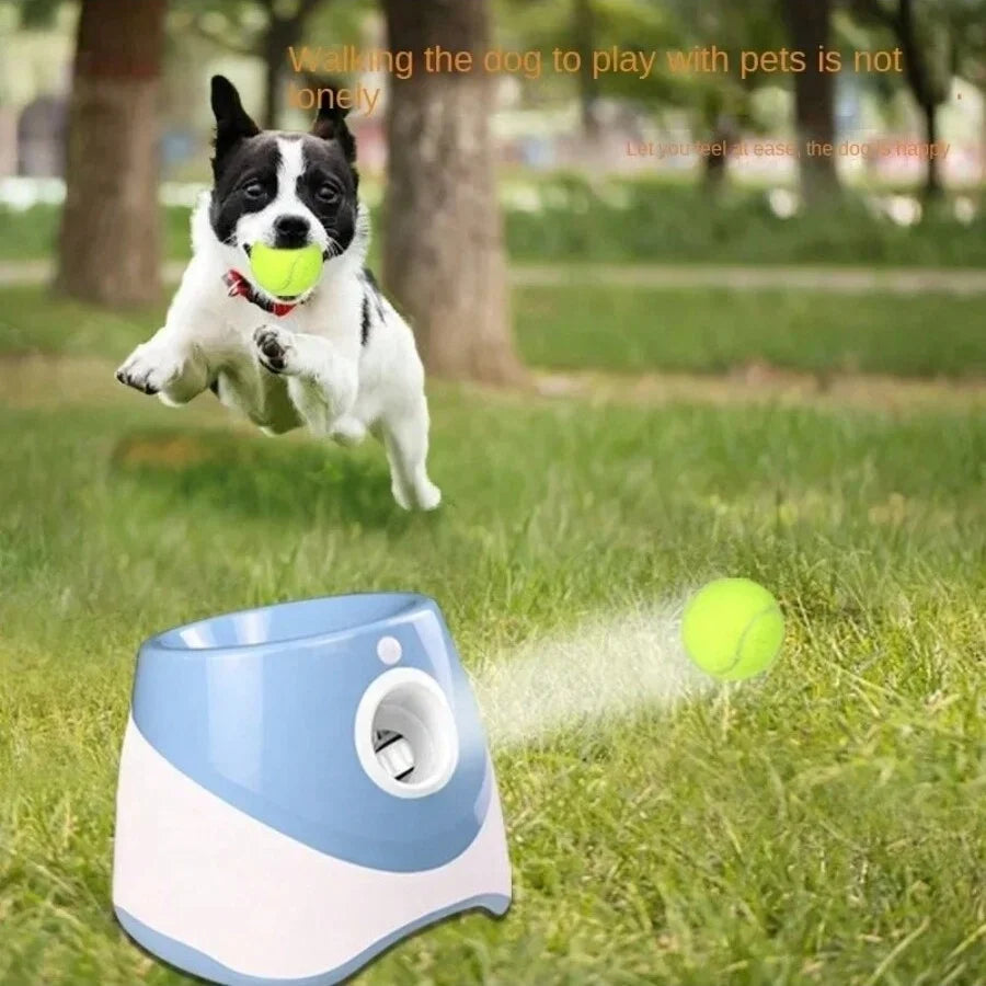 Automatic Dog Tennis Throwing Machine